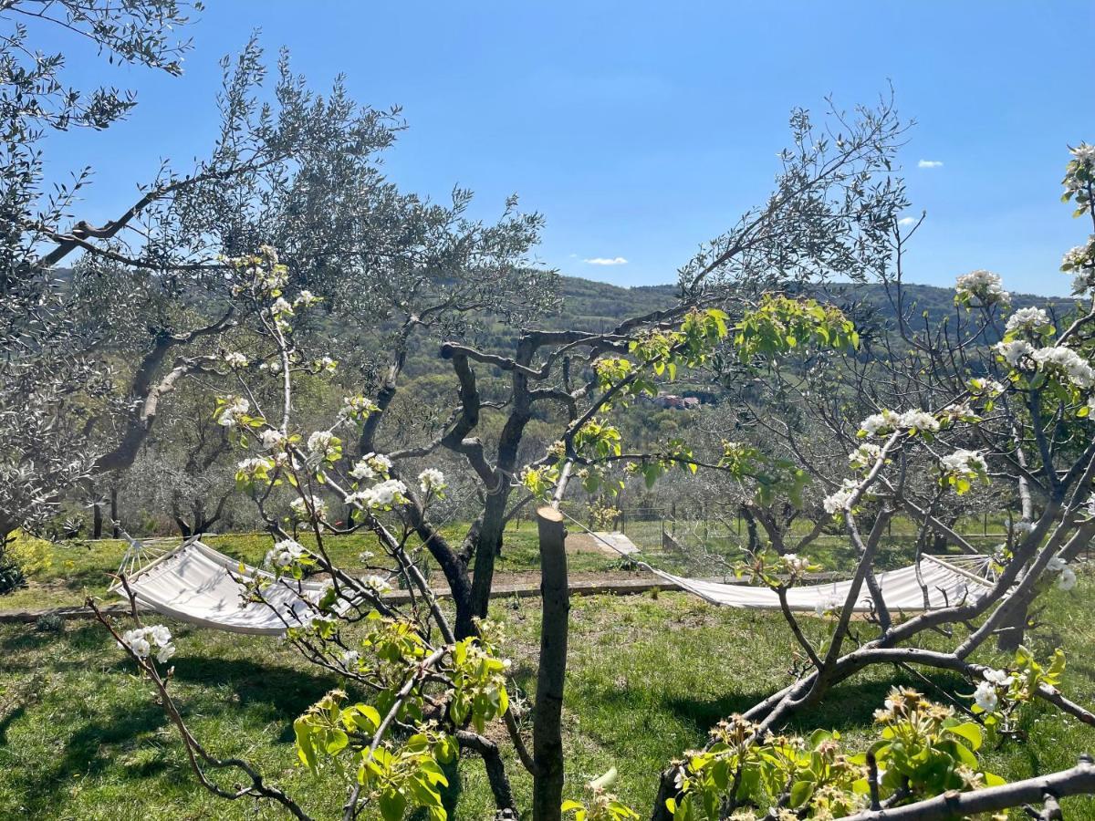Olea Mar Apartma Pobegi Dış mekan fotoğraf