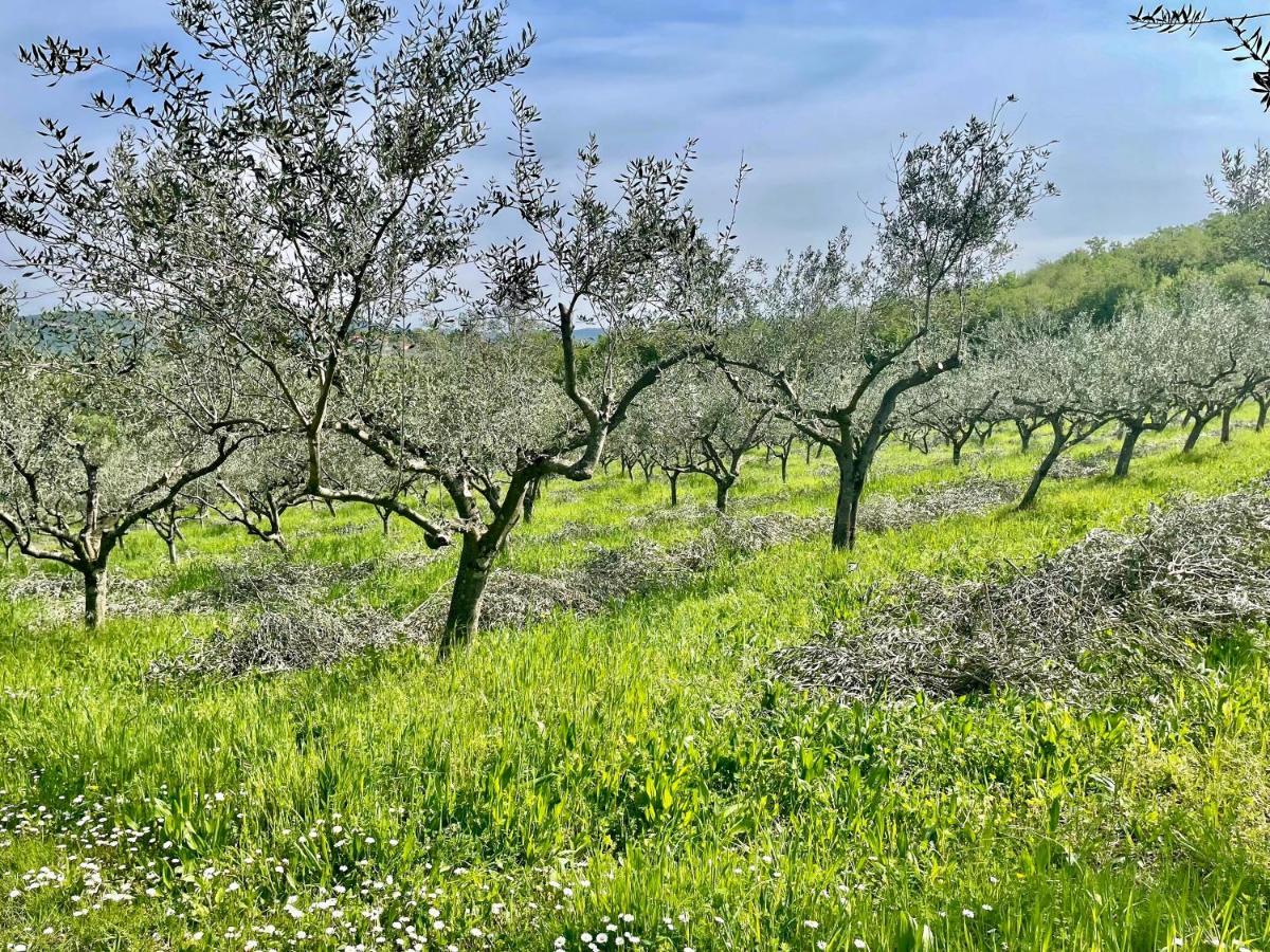 Olea Mar Apartma Pobegi Dış mekan fotoğraf