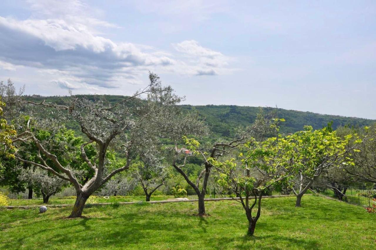 Olea Mar Apartma Pobegi Dış mekan fotoğraf
