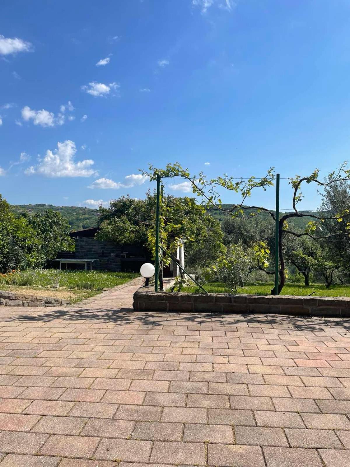 Olea Mar Apartma Pobegi Dış mekan fotoğraf
